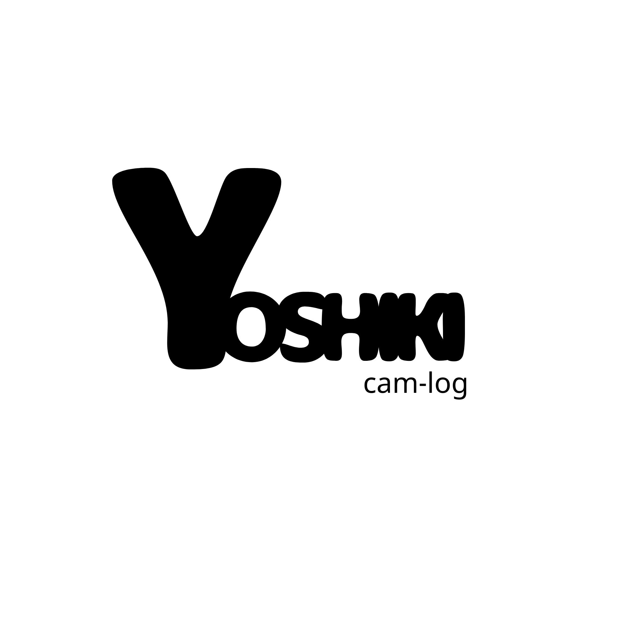 Yoshiki cam-log